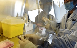 Ca nhiễm cúm A/H7N9 đầu tiên hồi phục