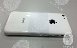 Xuất hiện hình ảnh của iPhone giá rẻ