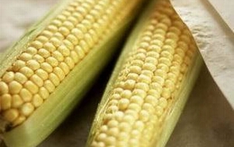 5 thực phẩm cực kỳ tốt cho sức khỏe