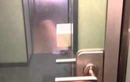 Nhà vệ sinh nhìn xuyên thấu ở Áo