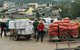 Tạo 'thế giới phẳng’ để hàng Tàu đè hàng Việt