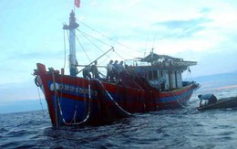 Đà Nẵng xuất tiền cho ngư dân đóng tàu khủng