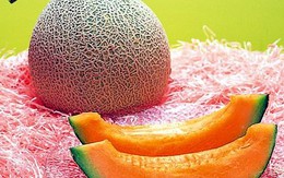 Dưa "đại gia" hơn 330 triệu đồng/cặp