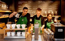 Dùng nước từ toilet pha cà phê: Starbucks xin lỗi khách hàng