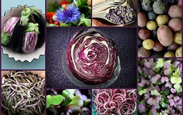 Lợi ích sức khỏe của thực phẩm màu tím