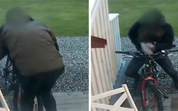 Bắt gặp người đàn ông "vụng trộm" với... chiếc xe đạp