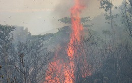 Cháy rừng đặc dụng Nam Hải Vân