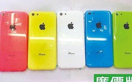 iPhone Light giá rẻ sẽ có 5 màu