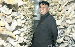 Kim Jong-un sẽ đưa Triều Tiên thành ’vương quốc nấm’