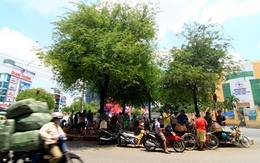 Chợ sâu bọ 'độc nhất' ở Sài Gòn