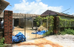 “Đại gia” xuống tay lấy mạng người vì bị dè bỉu con chó mới mua