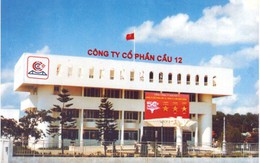 Điểm mặt 3 đại gia BĐS nợ thuế nhiều nhất