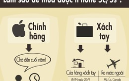 Làm sao để mua iPhone 5S và 5C tại Việt Nam?