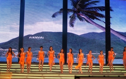 Những đại gia Việt chi tiền 'núi' đắp đảo