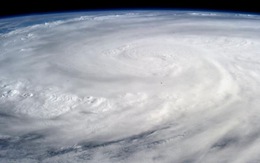 Tin về "quái vật" Haiyan liên tục được cập nhật trên mạng xã hội