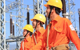 Đại gia BĐS mất oan hàng trăm tỷ cho EVN