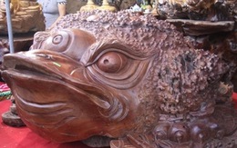 Những gốc cây, tảng đá chỉ bán cho đại gia