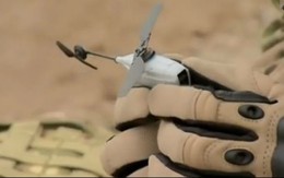 Trực thăng do thám đọ độ siêu nhỏ với UAV Chim ruồi