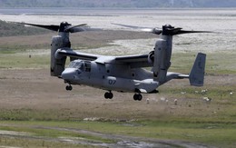Hải quân Mỹ chi 6,3 tỷ USD mua 99 'chim ưng biển' V-22 Osprey