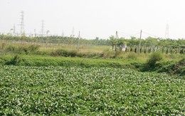 Đại gia trả lại dự án, nhà chức trách bối rối