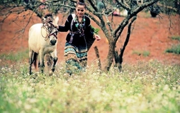 Đoàn Thúy Trang nổi giận vì hit 'Tình yêu màu nắng' bị chê bai