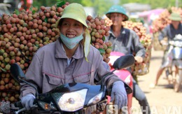 Vải thiều xuống phố, nhộn nhịp kẻ bán người mua