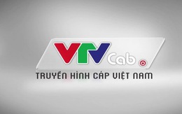 Truyền hình Cáp Việt Nam công bố bộ nhận diện thương hiệu