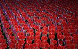Triều Tiên đỏ rực hoa Kim Nhật Thành, Kim Chính Nhật trong "Ngày chiến thắng"