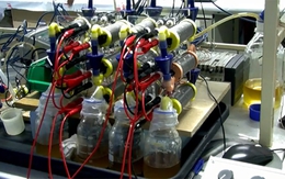 Sạc smartphone bằng... nước tiểu