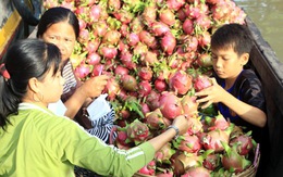 Giá trái cây tăng kỷ lục