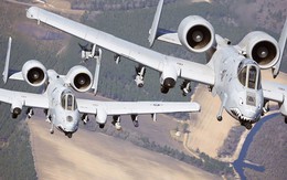 Khám phá "lợn lòi" A-10 Thunderbolt II của Không quân Mỹ