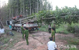 Hiện trường vụ tai nạn gây mất điện toàn Miền Nam