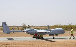 Ảnh: UAV Harfang tại căn cứ Không quân Pháp ở Niger