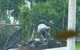 Thâm nhập điểm đen pha chế xăng dầu trái phép