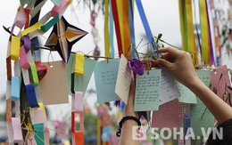 Giới trẻ viết lời ước nguyện tại hội hoa anh đào 2013