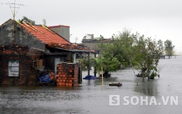 Quảng Bình: Hàng nghìn ngôi nhà đang chìm trong biển nước