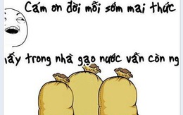 Bao gạo - chủ đề gây "sốt" trên các trang mạng tuần qua