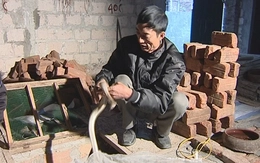 Đại gia chân đất thu hàng tỷ đồng nhờ nuôi tử thần trong nhà