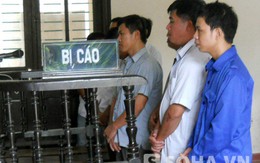 Xử phúc thẩm vụ lật xe gỗ lậu làm 10 người chết ở Nghệ An