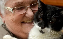 Ứng viên mèo già nhất thế giới mừng sinh nhật thứ 27