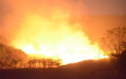 Thanh Hóa: Cháy rừng dữ dội trong đêm