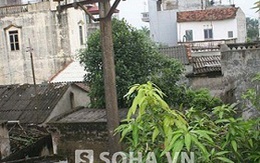 "Tử thần" bò trên mái nhà người dân Hà Nội