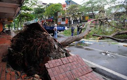 Siêu bão Haiyan băng qua biên giới, sang Trung Quốc