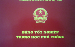 Chưa có bằng tốt nghiệp THPT vẫn làm sếp ở ngân hàng nhà nước