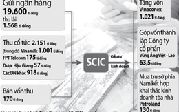 'Gửi ngân hàng cả chục ngàn tỷ lấy lãi, SCIC đang làm khó DN?'