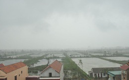 Học sinh Đà Nẵng phải nghỉ học tránh bão số 11 cực mạnh