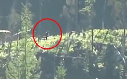 Video hot trong tuần: Xuất hiện quái vật Bigfoot ở Canada