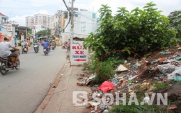 TP.HCM: Kinh hoàng phát hiện xác thai nhi vứt bên đường