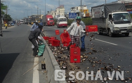 TP.HCM: Hàng chục két bia rơi xuống đường, người dân lao đến hôi của