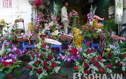 Thị trường hoa ngày Valentine ở Cần Thơ “vắng tanh như chùa bà đanh”